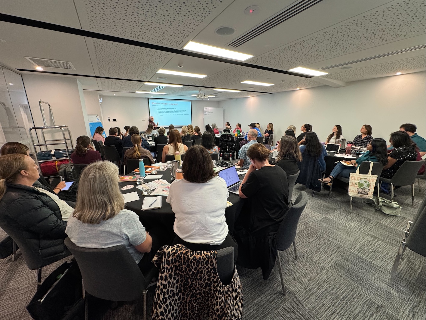 Auckland IMG 2637 small